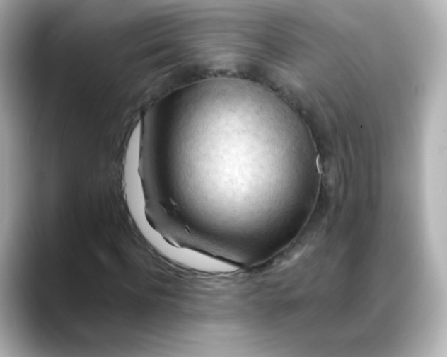 X0000088410916200706051151
