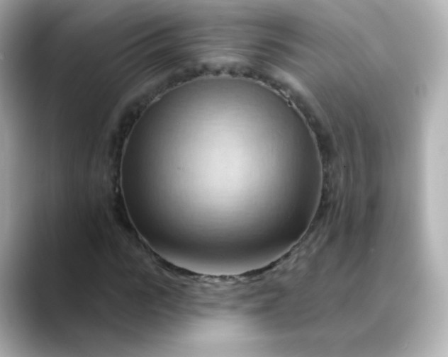 X0000088410919200706051151