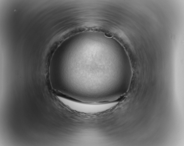 X0000088410920200706051151