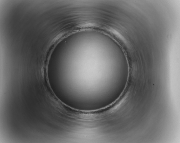 X0000088410921200706051151