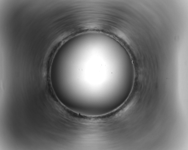 X0000088410922200706051151