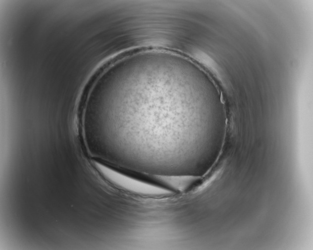 X0000088410924200706051151
