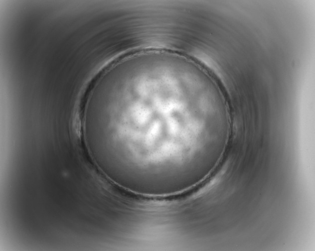 X0000088410925200706051151