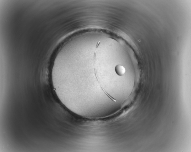 X0000088410926200706051151