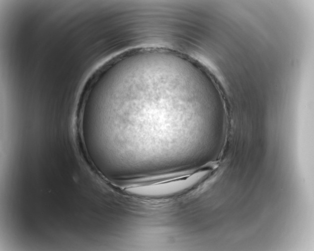 X0000088410928200706051151