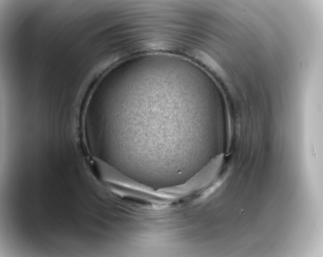X0000088410930200706051151