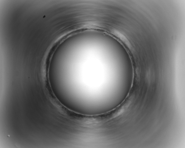 X0000088410931200706051151