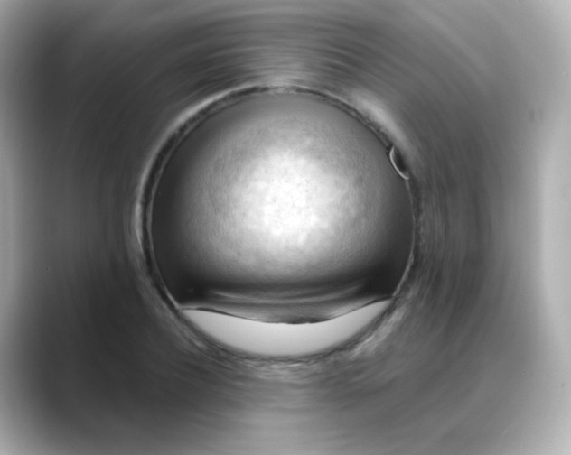 X0000088410932200706051151