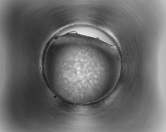 X0000088410935200706051151