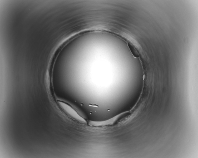 X0000088410936200706051151