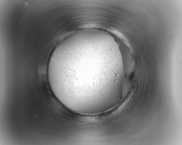 X0000088410937200706051151