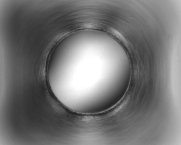 X0000088410938200706051151