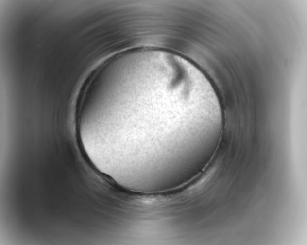 X0000088410939200706051151
