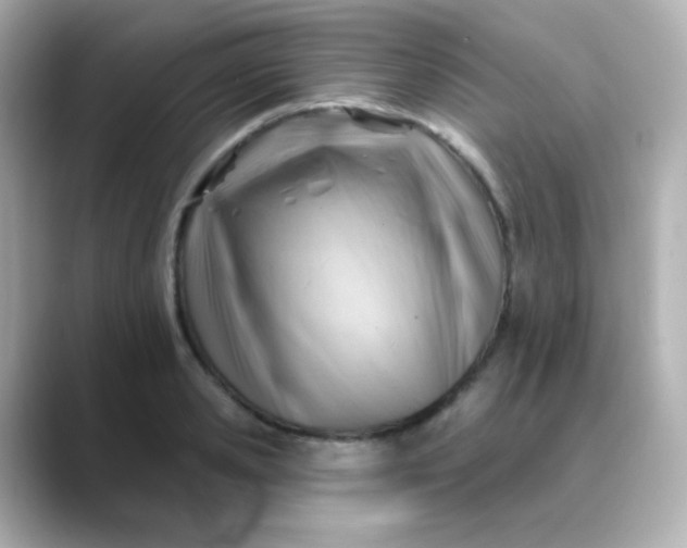 X0000088410941200706051151