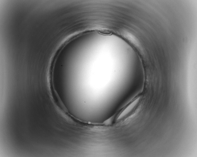 X0000088410942200706051151