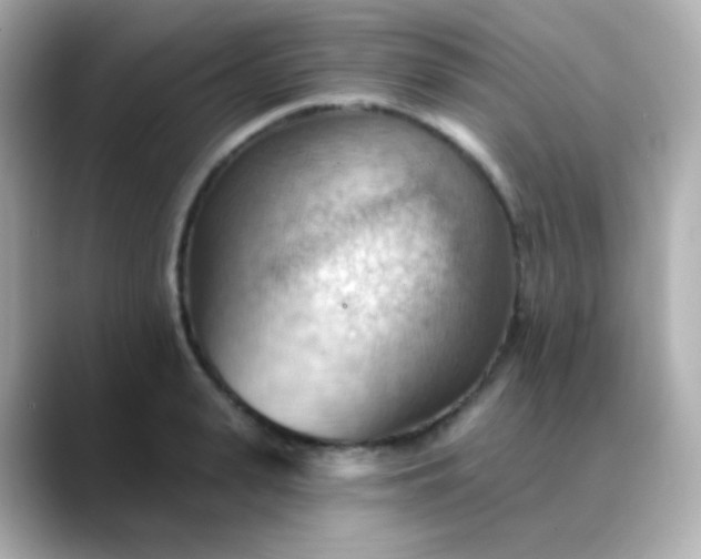 X0000088410943200706051151