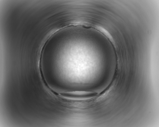 X0000088410946200706051151