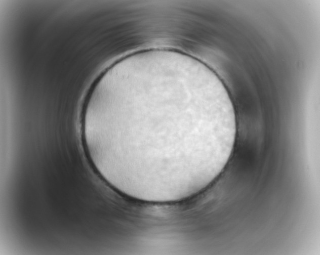 X0000088410950200706051151