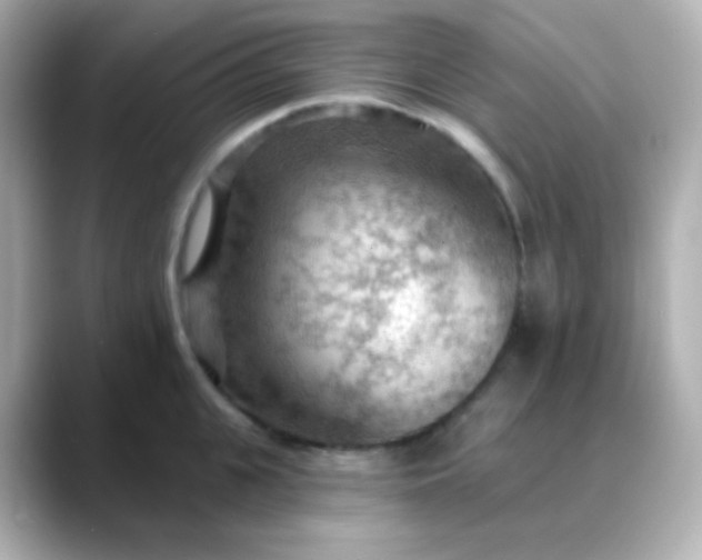 X0000088410951200706051151