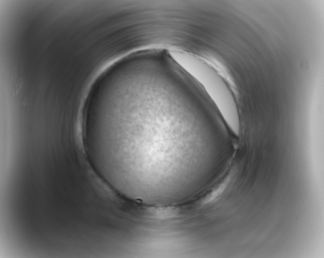 X0000088410952200706051151
