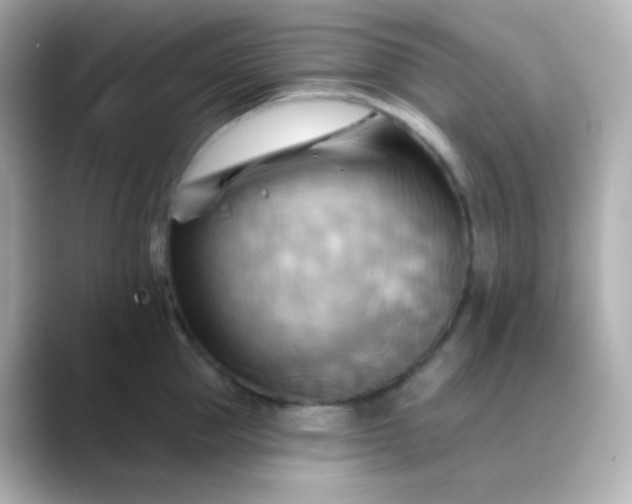 X0000088410953200706051151