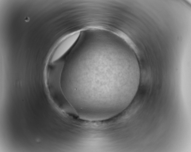 X0000088410955200706051151