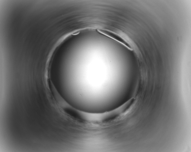 X0000088410956200706051151