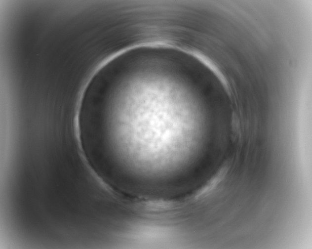 X0000088410959200706051151