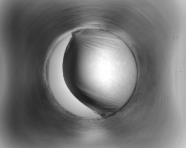 X0000088410960200706051151