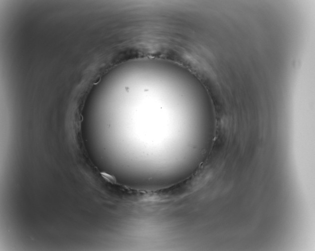 X0000088410961200706051151