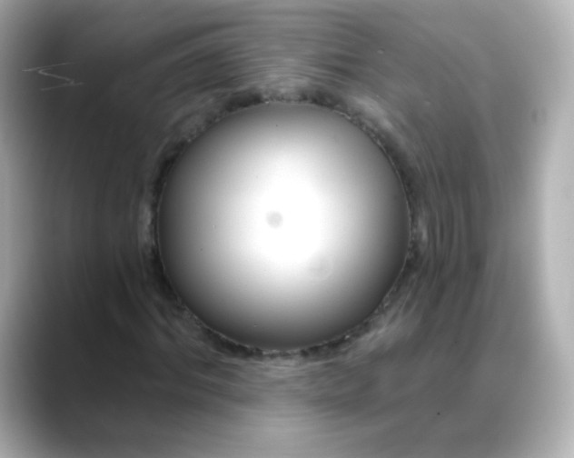 X0000088410964200706051151