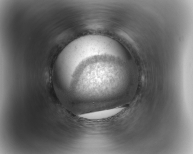 X0000088410966200706051151