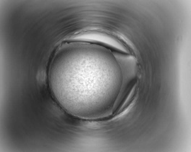 X0000088410969200706051151