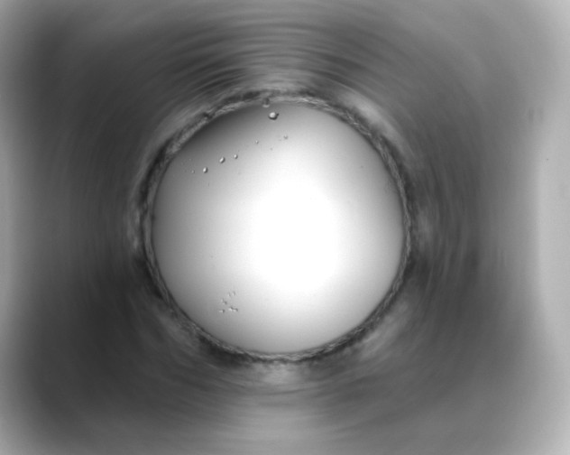 X0000088410970200706051151