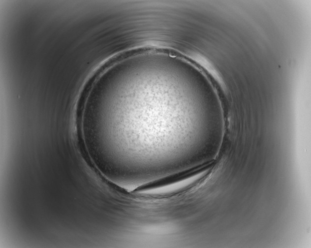 X0000088410972200706051151