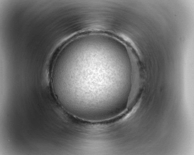 X0000088410973200706051151