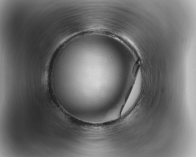 X0000088410975200706051150