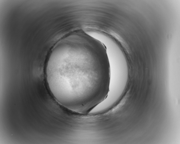 X0000088410977200706051150