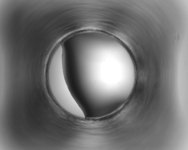 X0000088410980200706051150
