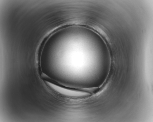 X0000088410981200706051150