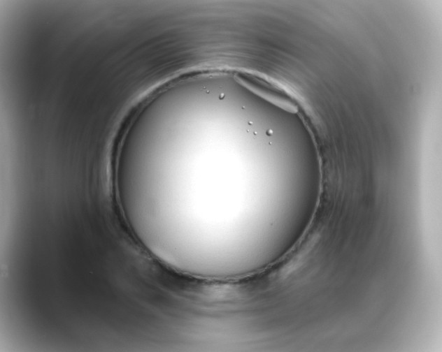 X0000088410982200706051150