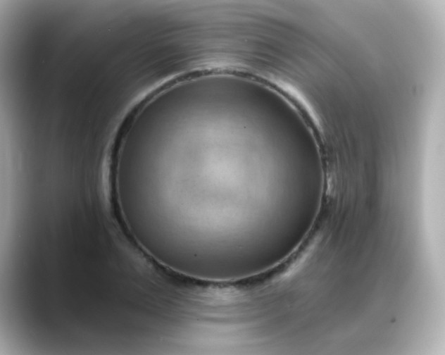 X0000088410983200706051150