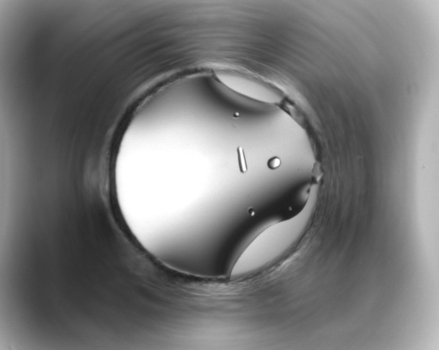 X0000088410984200706051150