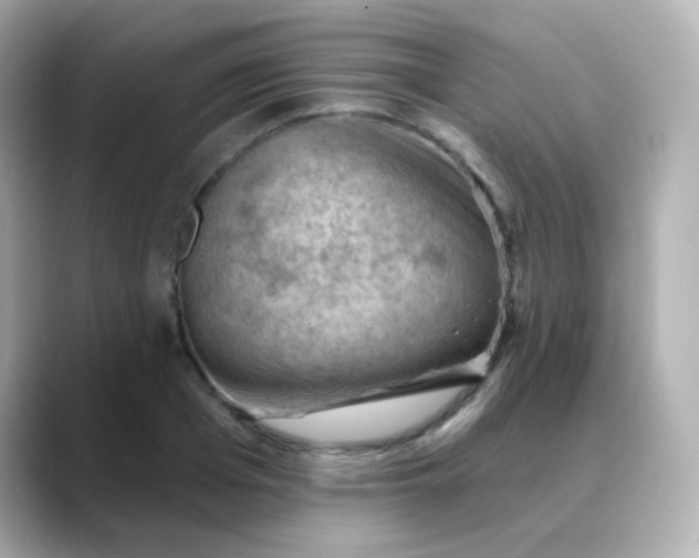 X0000088410985200706051150