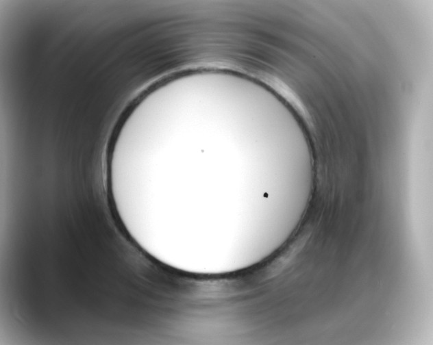 X0000088410988200706051150