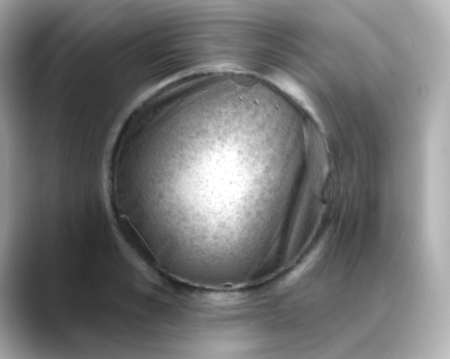 X0000088410989200706051150