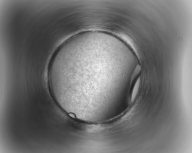 X0000088410990200706051150