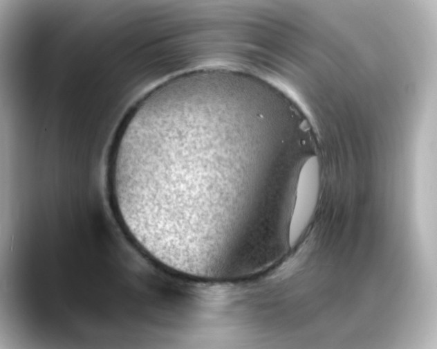 X0000088410991200706051150