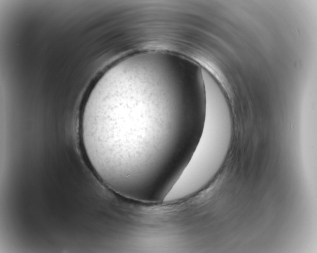 X0000088410992200706051150