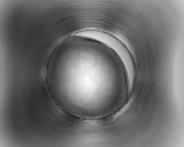 X0000088410993200706051150
